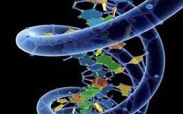 الهندسة الوراثية pdf, الاستنساخ, سلبيات الهندسة الوراثية, الهندسة الوراثية مبادئها وتقنياتها, تطبيقات الهندسة الوراثية, تعريف الهندسة الوراثية, الهندسة الوراثية في النبات, الهندسة الوراثية ppt
